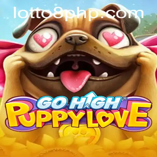 Discovering GoHighPuppyLove and the Intrigue of Lotto8